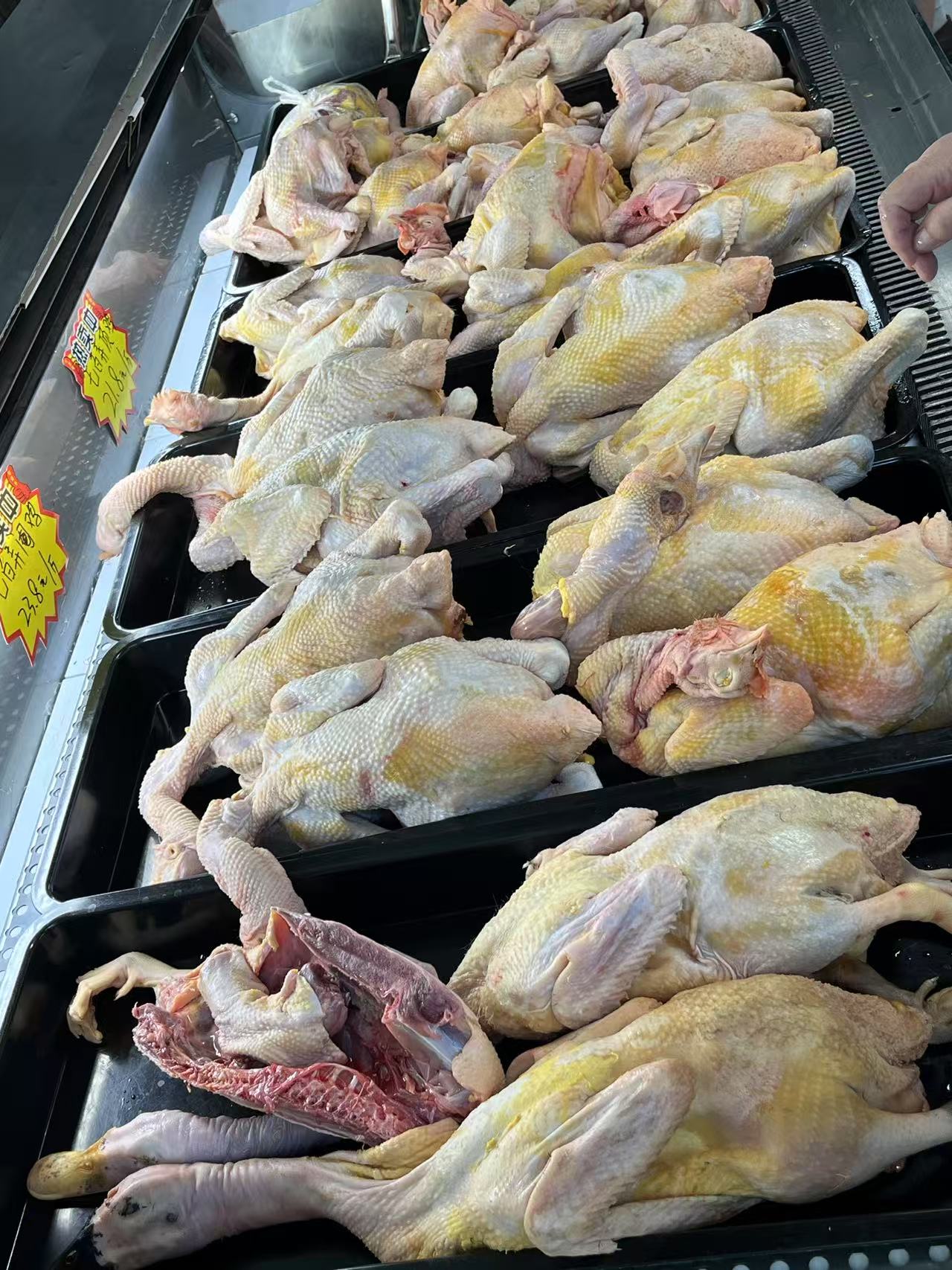 七百弄雞和肉鴨.jpg