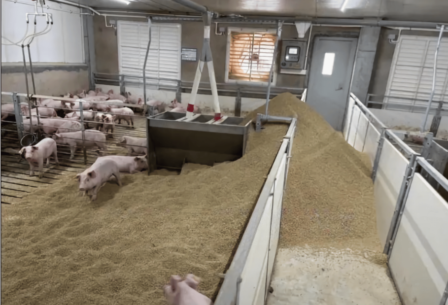 截圖20250806092747.png 截圖20250806092747.png