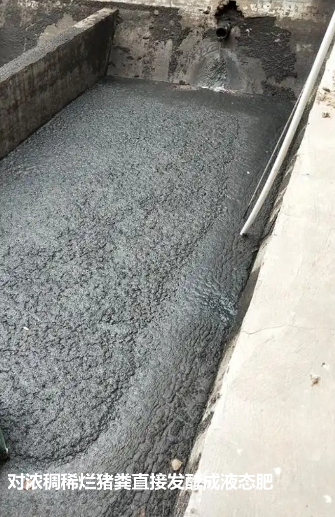 對濃稠稀爛豬糞直接發(fā)酵成液態(tài)肥.jpg