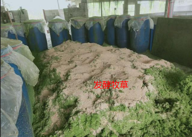 截圖20250814094351.png 截圖20250814094351.png