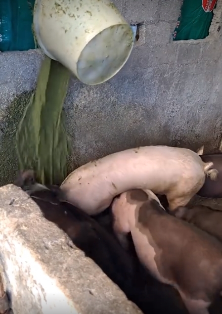 微信截圖_20250814094529.png 微信截圖_20250814094529.png