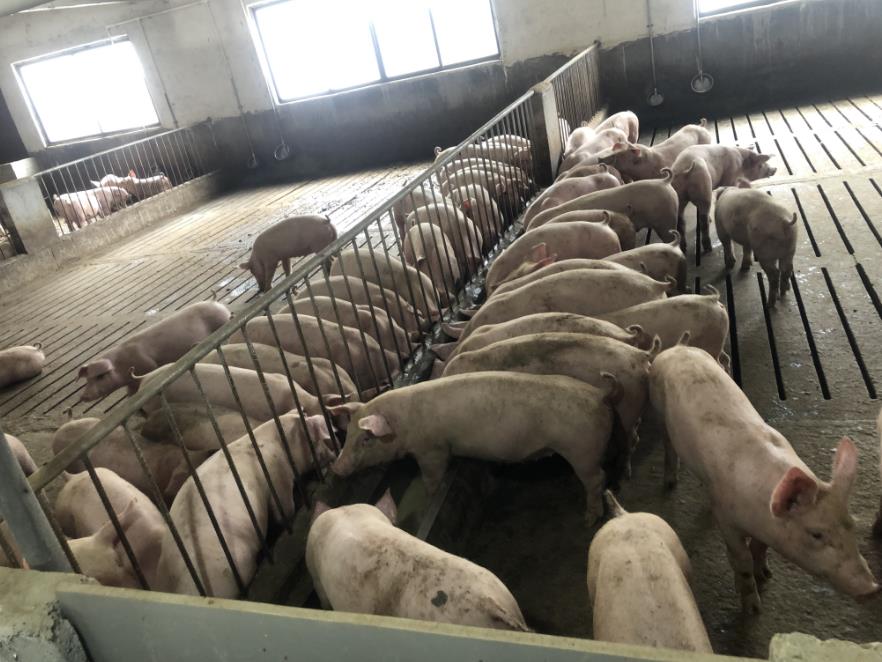 17235206831214338 (1).jpg 17235206831214338 (1).jpg