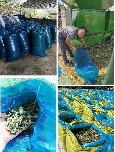 QQ圖片20250725100537.png QQ圖片20250725100537.png