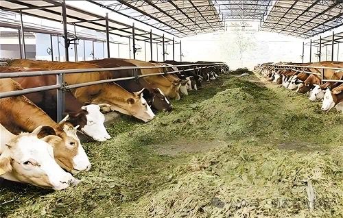 QQ圖片20250417113052.jpg QQ圖片20250417113052.jpg