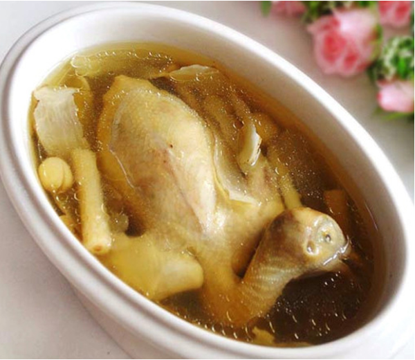 鴿子5.png 鴿子5.png