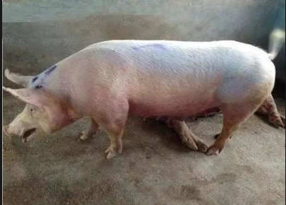 截圖20250819105959.png 截圖20250819105959.png