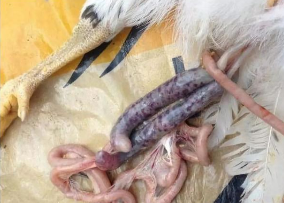 QQ圖片20250820095216.png QQ圖片20250820095216.png