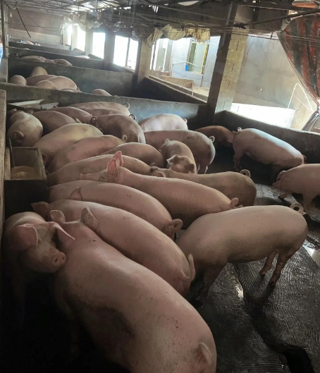 圖片1.png 圖片1.png