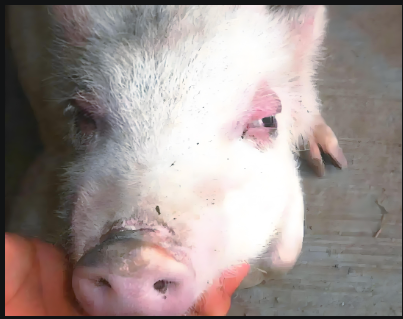 d3549128-f273-4924-b597-304d3f96defc.png d3549128-f273-4924-b597-304d3f96defc.png