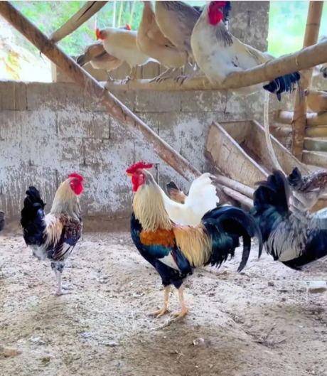 bd8da825-99c6-46ac-8e6a-58bd817029d3.png bd8da825-99c6-46ac-8e6a-58bd817029d3.png