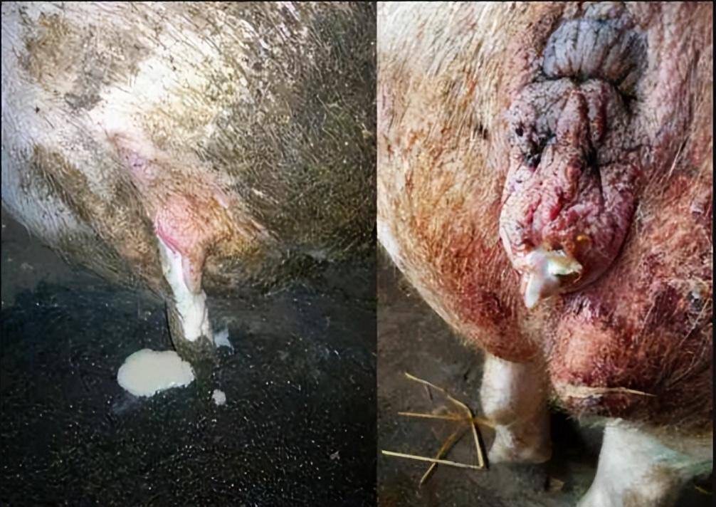 微信圖片_20250826092422.jpg 微信圖片_20250826092422.jpg