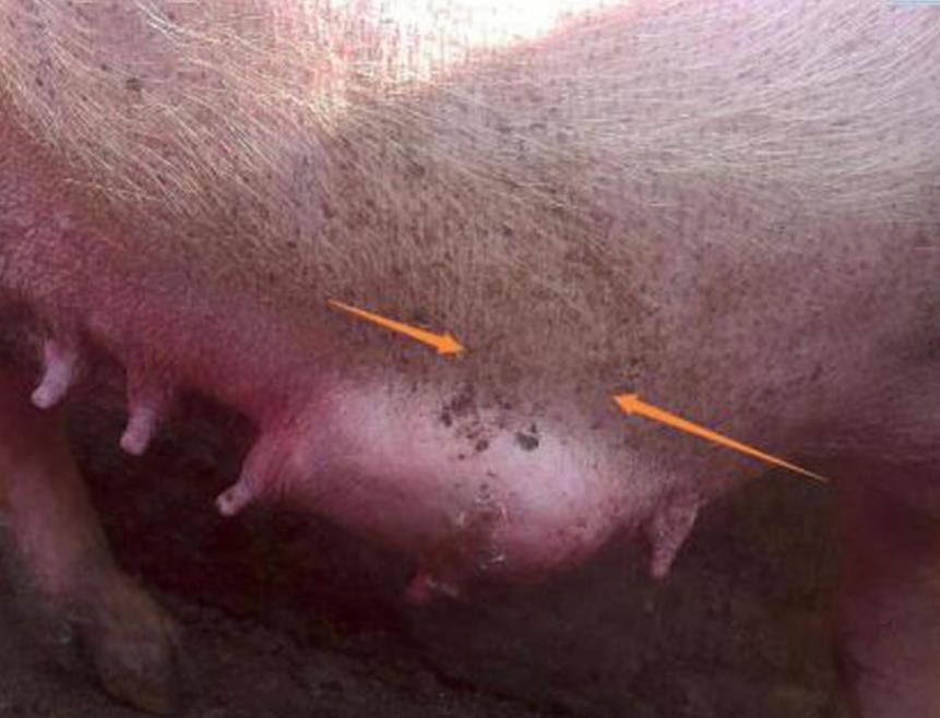 微信圖片_20250826092427.jpg 微信圖片_20250826092427.jpg