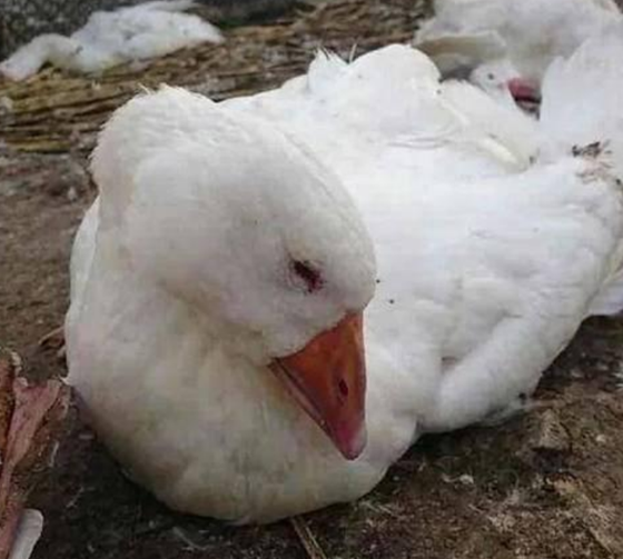 D834A08F828A0C6831FE49EC5E110AC5.png D834A08F828A0C6831FE49EC5E110AC5.png