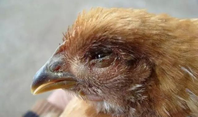 QQ圖片20250827111214.png QQ圖片20250827111214.png