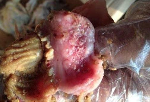 QQ圖片20250901094443.png QQ圖片20250901094443.png