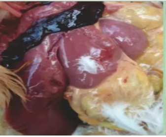 截圖20250905110504.png 截圖20250905110504.png