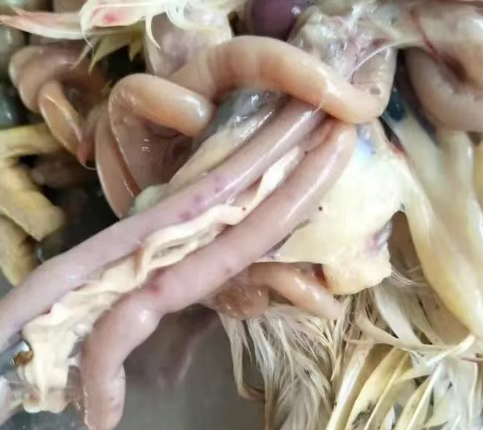 截圖20250905110551.png 截圖20250905110551.png