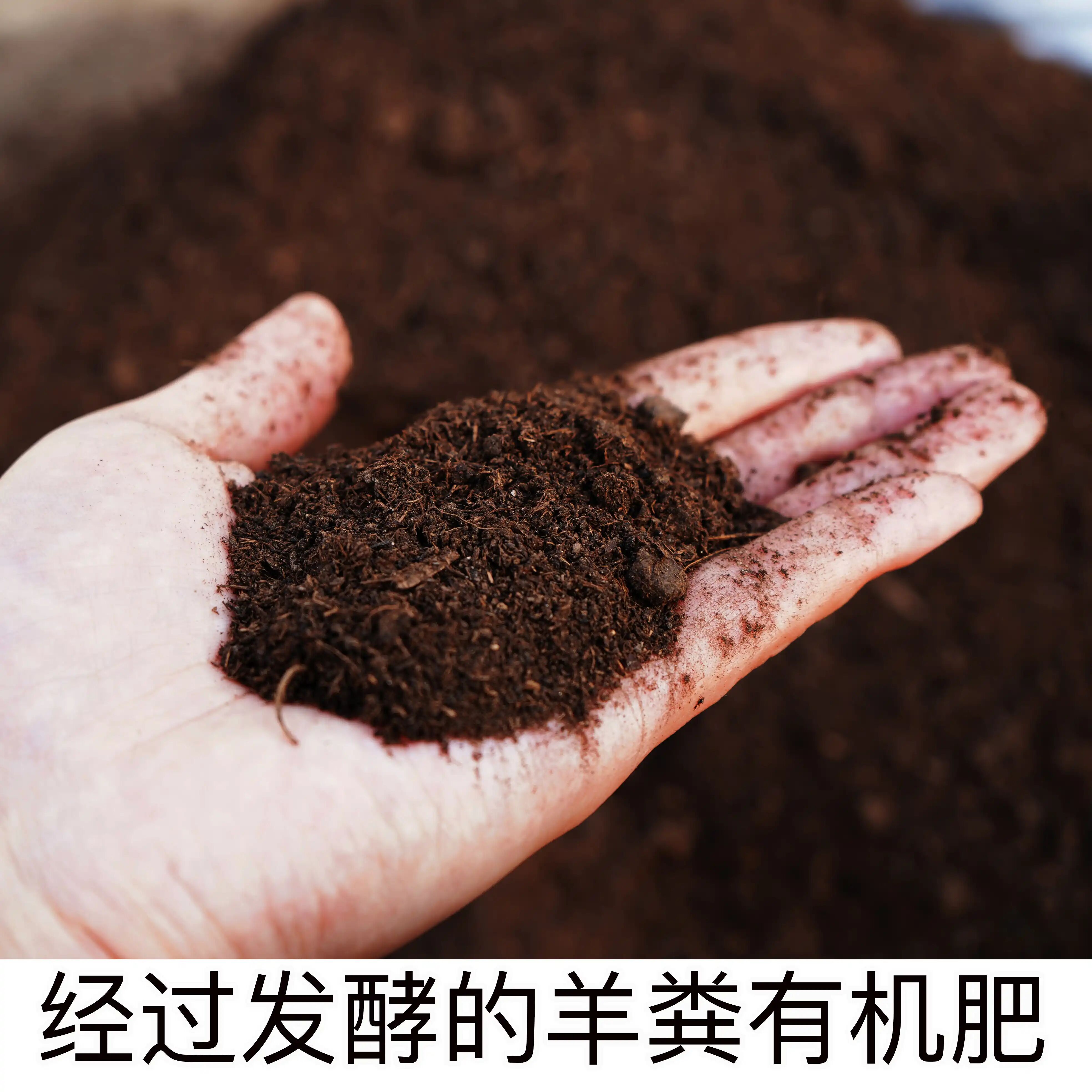 555f7a200d075dc78433abc0a71541c5.jpg 555f7a200d075dc78433abc0a71541c5.jpg