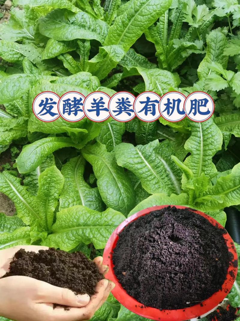 52564aad90db6f573cf7c6d7540b4d99.jpeg 52564aad90db6f573cf7c6d7540b4d99.jpeg