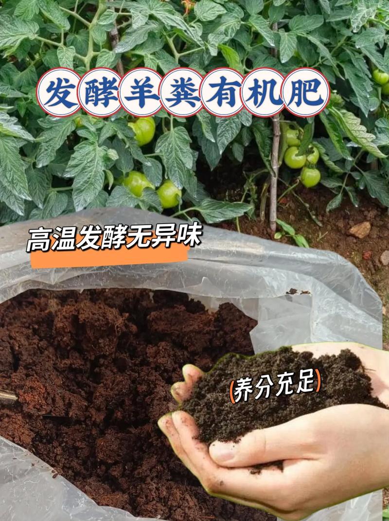 ff1d06e47049ad7a14976bc95557e40d.jpeg ff1d06e47049ad7a14976bc95557e40d.jpeg