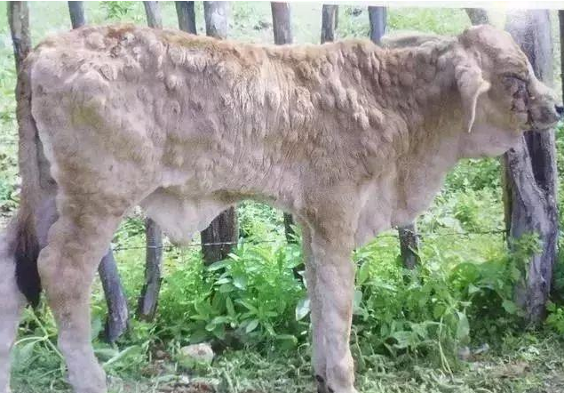 QQ圖片20250910104703.png QQ圖片20250910104703.png