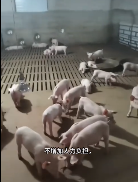 截圖20250911092509.png 截圖20250911092509.png