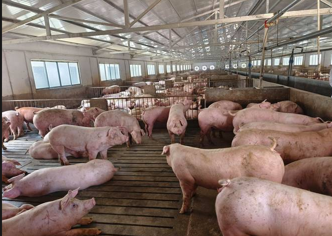 截圖20250911092719.png 截圖20250911092719.png