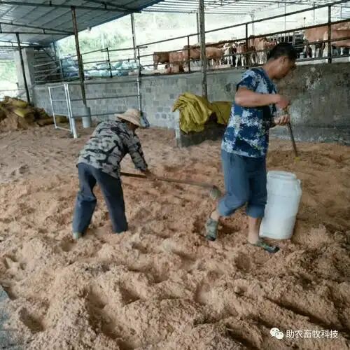 a62193cdd7f379032a1529bb2ce19573.jpg a62193cdd7f379032a1529bb2ce19573.jpg