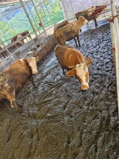 b6a1189d4a433e2ec0e04182b70438a1.jpg b6a1189d4a433e2ec0e04182b70438a1.jpg