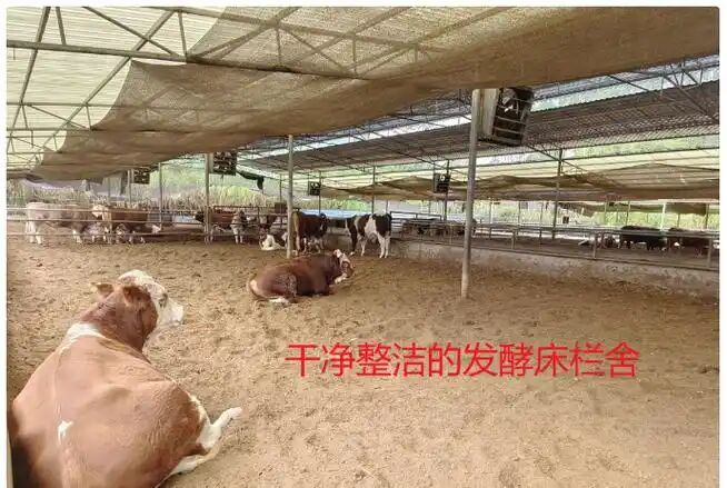 fd316f7c16a0ae1e3c0f118c82648319.jpg fd316f7c16a0ae1e3c0f118c82648319.jpg