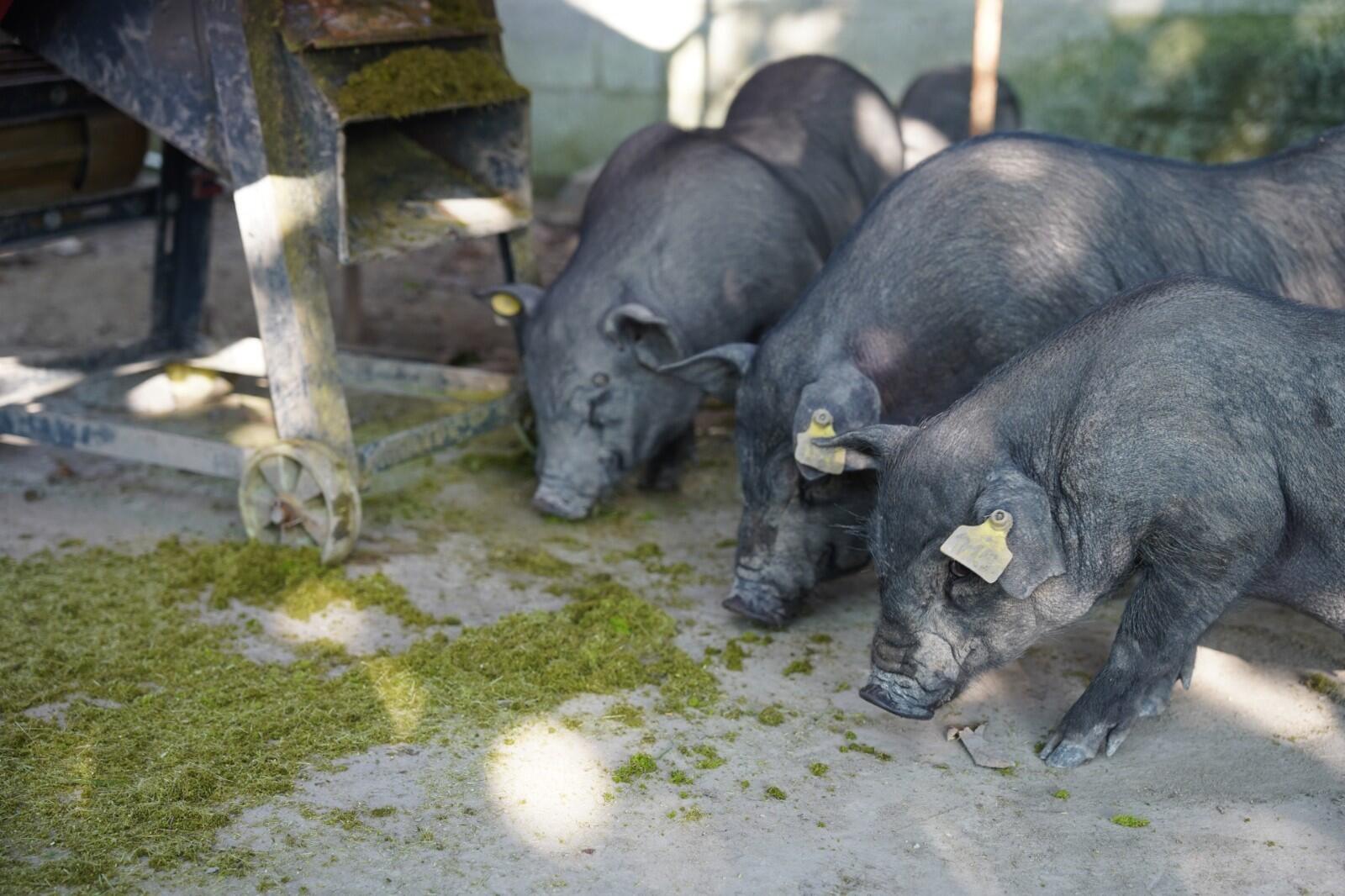 QQ圖片20250912120915.jpg QQ圖片20250912120915.jpg