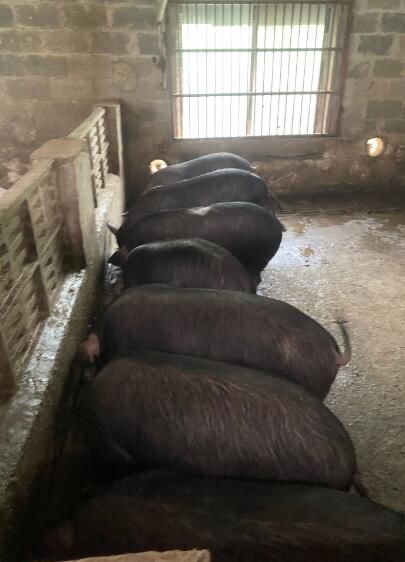 QQ圖片20250912121223.jpg QQ圖片20250912121223.jpg