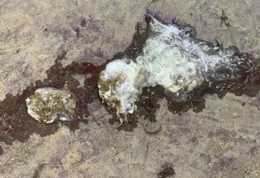 d6ed1c88-dd41-47a1-b1fd-8ad6d79260ae.png d6ed1c88-dd41-47a1-b1fd-8ad6d79260ae.png