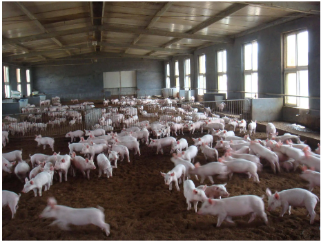 1741933011009.jpg 1741933011009.jpg