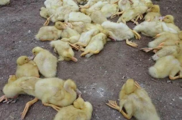 QQ圖片20250922104407.png QQ圖片20250922104407.png