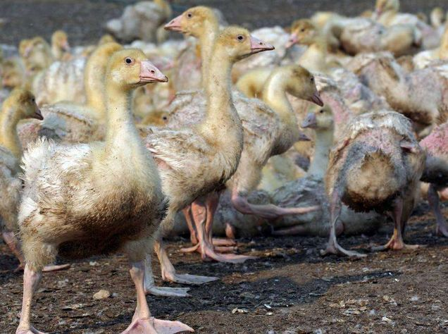 QQ圖片20250922104440.png QQ圖片20250922104440.png