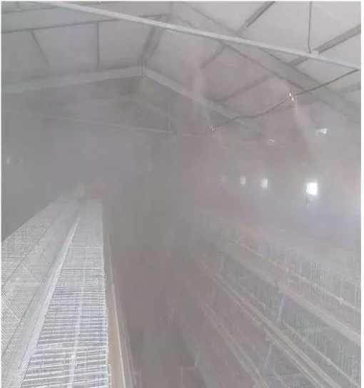 96bbb901-d7b4-45e3-bec9-608ddeba1794.png 96bbb901-d7b4-45e3-bec9-608ddeba1794.png