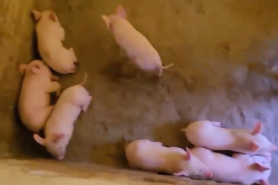 QQ圖片20251022112916.png QQ圖片20251022112916.png