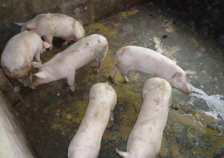 微信圖片_20251027091750.jpg 微信圖片_20251027091750.jpg