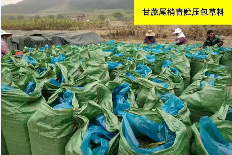 截圖20251128094444.png 截圖20251128094444.png