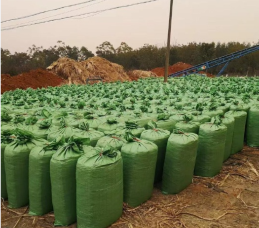 截圖20251128095402.png 截圖20251128095402.png