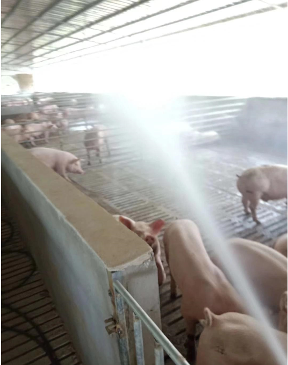 截圖20251205093949.png 截圖20251205093949.png