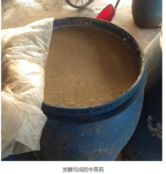 截圖20251205094536.png 截圖20251205094536.png