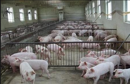 截圖20250916090835.png 截圖20250916090835.png