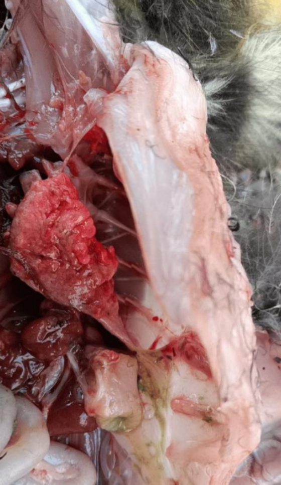 QQ圖片20251209103818.png QQ圖片20251209103818.png