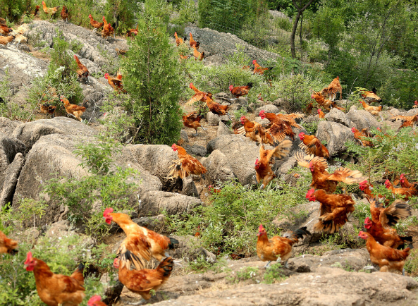 QQ圖片20251222121952.png QQ圖片20251222121952.png