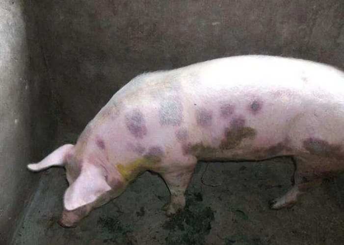 微信圖片_20251224092331.jpg 微信圖片_20251224092331.jpg