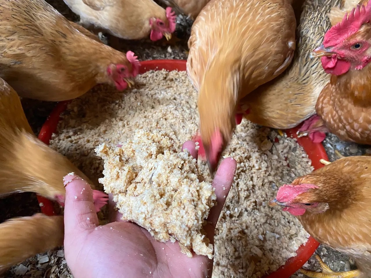 QQ圖片20240515140953.png QQ圖片20240515140953.png