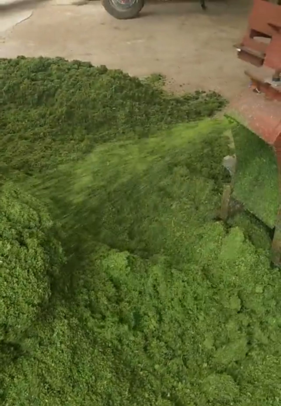 17314827258004576.png 17314827258004576.png