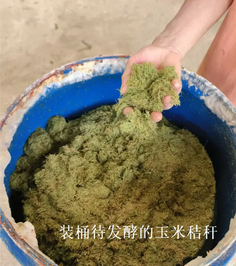 截圖20260205100809.png 截圖20260205100809.png